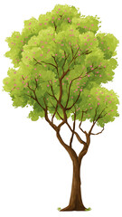 tree isolated on white background