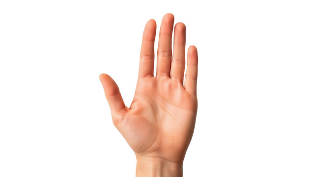 Isolated human palm, hand up, fingers spread, gesture of stopping, halt, attention please