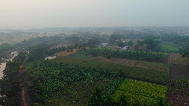 Aerial view of a rural village with patchwork farmland and agriculture fields, a tree-lined canal winding through the landscape under soft morning sun and mist, creating a calm and scenic countryside.