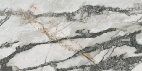 Black veined marble stone background © Vidal
