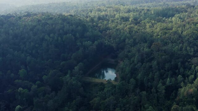 A cinematic drone reveal starting from a central water body and pulling back to uncover the vast, lush canopy of a coffee estate and surrounding rainforest in the Western Ghats of Karnataka, India.