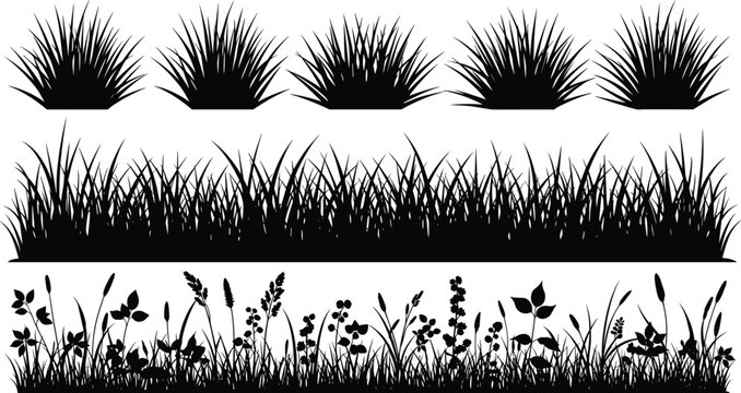 Grass Silhouette Set Collection of Meadow Lawn Plants Border Elements Nature Design Icons Isolated on White Background Vector Illustration