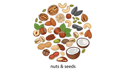 Obraz premium A circular arrangement of assorted healthy nuts and seeds, including walnuts, almonds, hazelnuts, cashews, and pistachios, on a clean white background.
