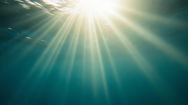 Video A sunny day at a body of water with sunlight shining down and reflecting off the surface