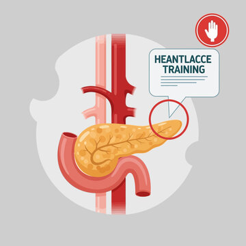 Human Pancreas Anatomy with Blood Vessels and Training Icon