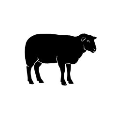 A black silhouette of a sheep standing sideways on a white background, depicting a common farm animal. © Maulana