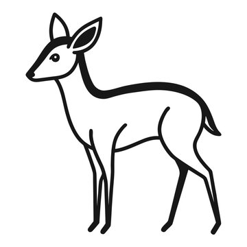 Duiker vector illustration with simple thin outline, small forest antelope art