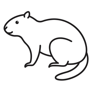 Artistic nutria illustration with a simple thin outline, vector art.