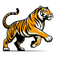 Tiger vector and illustration.