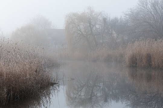 oggy river landscape with bare trees and soft reflections