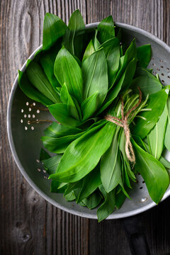 Green wild garlic leaves arranged inside metal colander on wooden surface. Natural ramsons foliage in food cleaning process. Flat lay, top view
