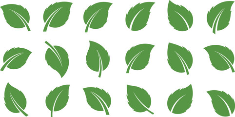 Set of green leaf icons, organic mint leaves, eco-friendly nature symbols, herbal tea elements, foliage silhouettes isolated on white background for design. © Shain