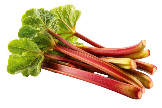 Red rhubarb stalks with vibrant green leaves.  Fresh, healthy, and ready to eat