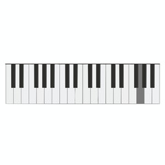 Fototapeta premium Piano Keyboard with Highlighted Key