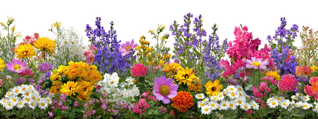 Colorful flower bed bursting with vibrant blooms