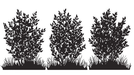 Fototapeta premium Vector set of three detailed black bush and shrub silhouettes with grass, isolated on white. Nature plant clip art elements.