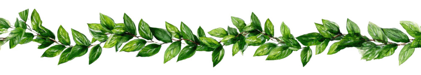 Obraz premium A horizontal sprig of bright green leaves