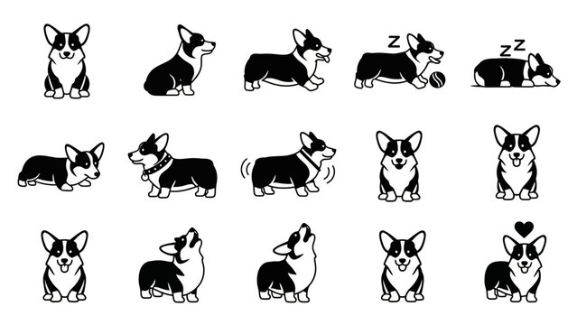 Corgi dogs in various poses.