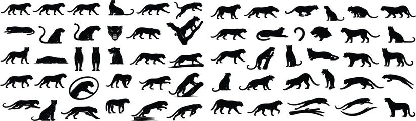 Obraz premium A solid black silhouette EPS illustration set featuring 30 unique leopard icons. All designs are generic, clean, and stock-safe, suitable for wildlife, nature, safari, animal conservation, branding, e