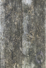 Obraz premium Close-up of weathered wood surface with rough texture and discoloration
