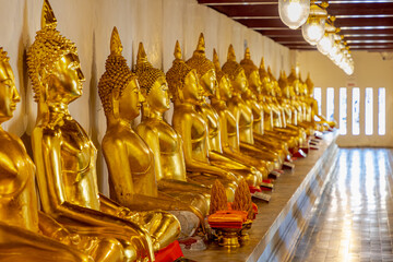 Fototapeta premium Row of golden Buddha statue in Thai temple, Different type of Buddhist statues on white wall in public area allowed zone at Wat Phra Sri Rattana Mahathat (Wat-Phra-Sri) Phitsanulok Province, Thailand.