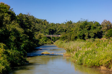 Fototapeta premium Countryside landscape, The Wang river with big trees, green grass meadow and white sugarcane flowers along the shore, Saccharum spontaneum and palm trees, Chae Hom District, Lampang province, Thailand