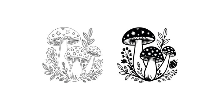 Mushroom and berry illustration showing detailed nature composition in two styles for coloring book pages or botanical design elements and forest art print