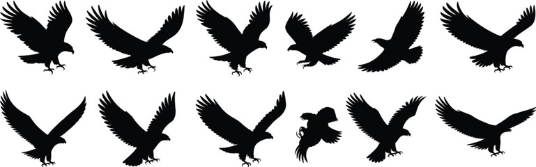Obraz premium eagle, silhouette, black, white, icon, illustration, vector, design, symbol, flight, landing, wings, talons, bird, pose, wildlife, anatomy, behavior, aerial, predator, nature