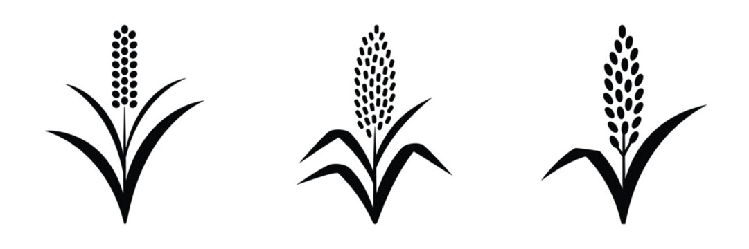 Minimalist Sorghum and Millet Plant Icons - Agriculture and Cereal Grain Farming Vector Illustrations for Logo and Infographic Design