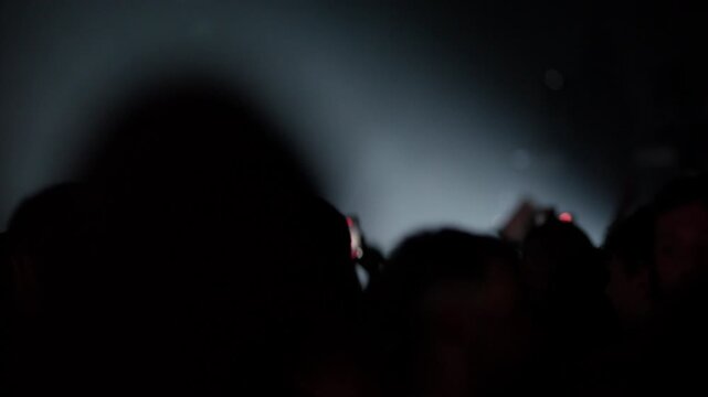 Video fades in to a point-of-view shot from within a dense, dancing crowd at a music festival or concert. Hazy atmosphere with stage lights and energetic, blurry motion. Authentic, immersive feel.