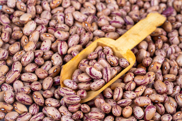 Dried legume food; dried kidney beans