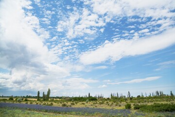 Obraz premium Beautiful hilly landscape in the foreground with blue sky