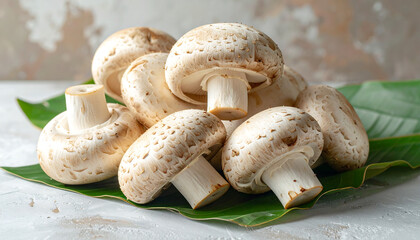 Fresh white button mushrooms displayed on a vibrant green banana leaf, showcasing natural texture and organic appeal&mdash;ideal for culinary, agricultural, and food presentation themes.