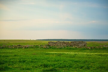 Obraz premium Vibrant green lawn and natural landscape in summer