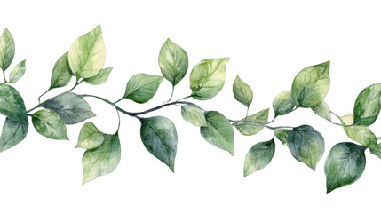 Fototapeta premium Green Leaf Vine Pattern Black Background