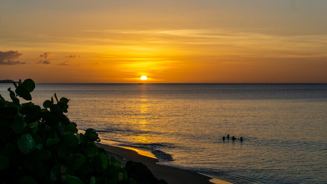View of the sun dips below the horizon, casting a golden glow on the tranquil sea, with distant figures swimming and lush greenery in Dallas, Texas, United States.