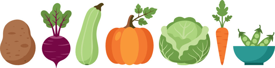 Fresh vegetable vector set with potato, beetroot, zucchini, pumpkin, cabbage, carrot, peas, and healthy organic food illustrations © MdNazmul