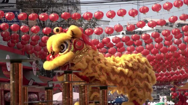 Chinese lion dance performing during  the Lunar New Year festival.