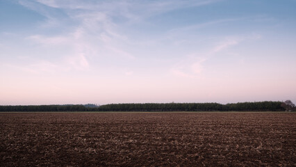 Plowed farmland panorama with distant tree line and pastel evening sky, wide copy space for banner design and agriculture, soil and land use concepts. © Jacek