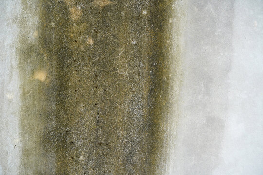 weathered concrete wall with green mold stains