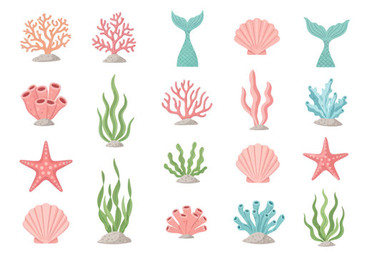 Hand-drawn marine life icons set including coral, seaweed, starfish, shells, and mermaid tails, perfect for ocean and underwater themed designs