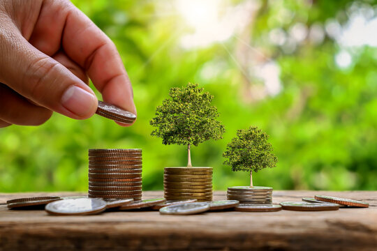 The tree growing on top of the pile of coins symbolizes financial growth, economic growth, and sustainable development.