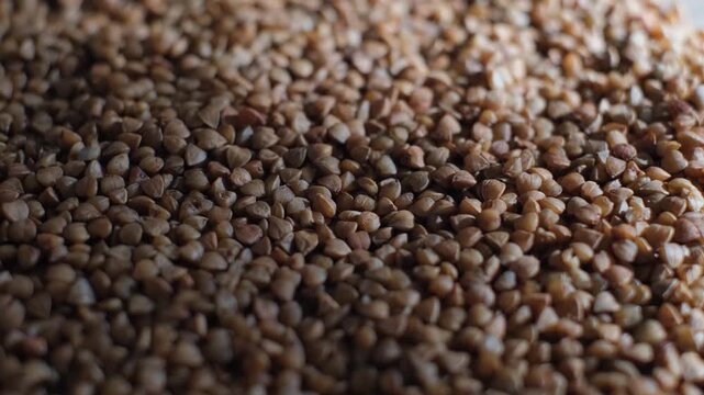 A pile of selected buckwheat groats on the table, close-up