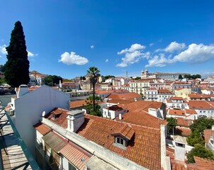 Portuguese roofs  © Lucas