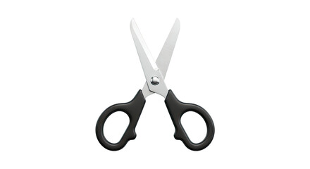 Pair of Black Handled Scissors