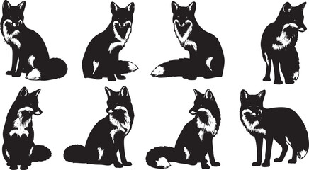 Fototapeta premium Black and white of foxes in various poses animal wildlife silhouette
