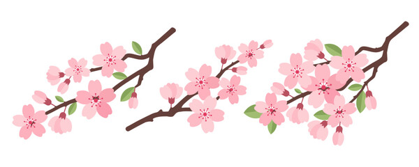Sakura cherry blossom branches with flowers and buds in a flat botanical style. Perfect for spring designs, wedding stationery, greeting cards, packaging, Japanese themed decor, Hanami, Easter. © Svitla