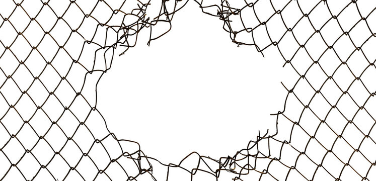 The texture of the metal mesh on a white background. Torn steel, metal mesh with holes