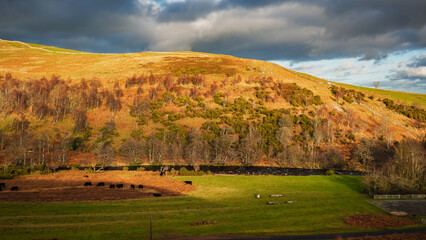 River Breamish below Ewe Hill from Brough Law,  a hill at the Breamish Valley, a scenic river valley in Northumberland, England, in the National Park. It&rsquo;s known for its rolling hills.