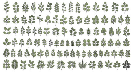 Fototapeta premium Large set of various green leaves and botanical plant branch elements for nature themed design projects on a clean white background.